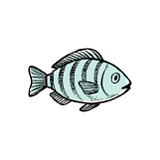 Ψάρια & Χελώνες