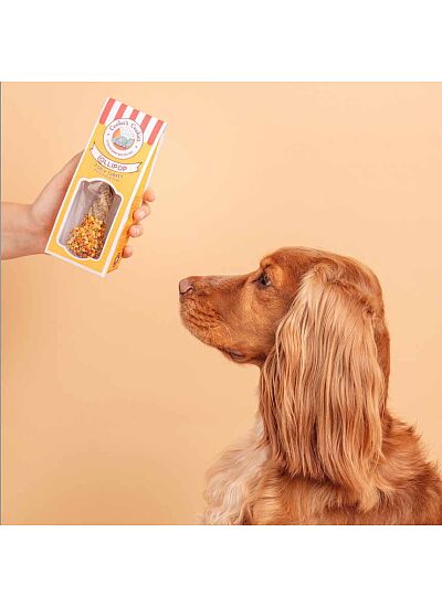 Cooka's Cookies Chewy Pop  Lollipop Με Γαλοπούλα Και Δέρμα Μπακαλιάρου 35 40gr