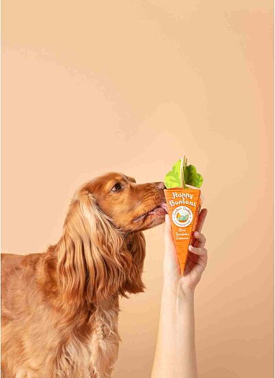 Cooka's Cookies Μπισκότα Happy Bonbongs Με Γαλοπούλα Σαρδέλες Και Καρότο 50gr