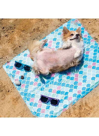 Croci Fresh Scales Mat Αδιάβροχο Δροσιστικό Χαλάκι (65x50 cm)