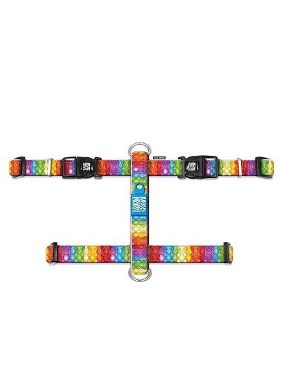 Max & Molly Επιστήθιο H   Harness Jelly Bears/L