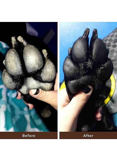 Natural Dog Company Pawtection Φυτική Αλοιφή για Πατουσάκια 60ml