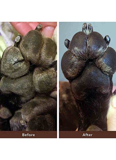 Natural Dog Company Paw Soother Φυτική Αλοιφή για Πατουσάκια 30ml