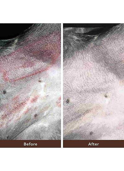 Natural Dog Company Skin Soother Φυτική Αλοιφή για Δερματικά 30ml