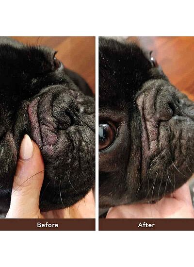 Natural Dog Company Stick Wrinkle Balm Φυτική Αλοιφή για την Αναδίπλωση του Δέρματος 4.4ml