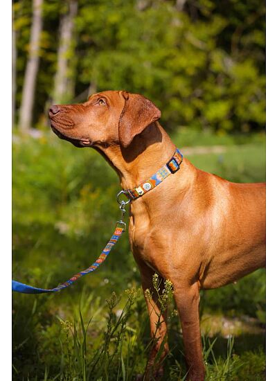 Woolly Wolf Eco Friendly Οδηγός Περιπάτου Nightless Night (150 cm)