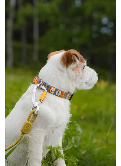 Woolly Wolf Eco Friendly Οδηγός Περιπάτου Pistachio (180 cm)