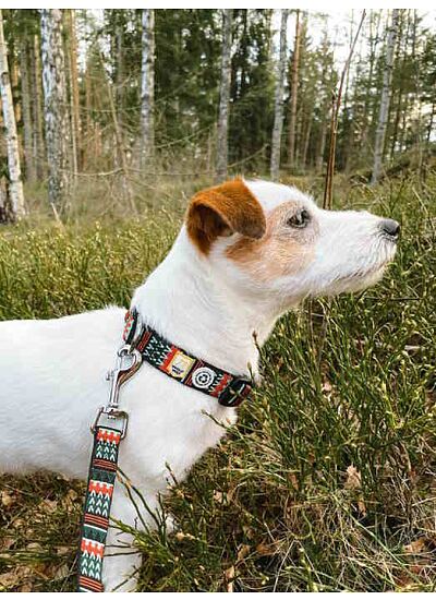 Woolly Wolf Eco Friendly Οδηγός Περιπάτου Woodland Leash (150 cm)