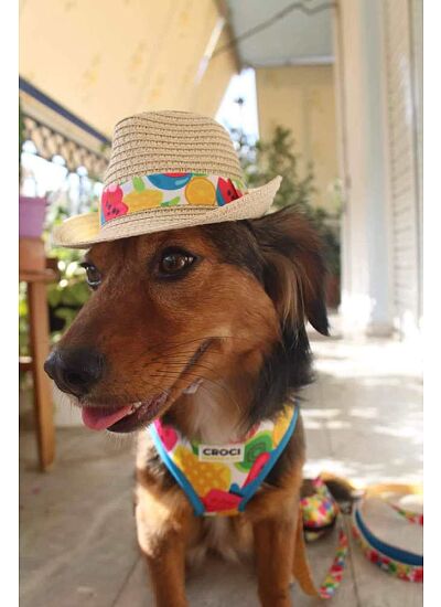 Croci Ψάθινο Καπέλο με Φρουτάκια 11cm