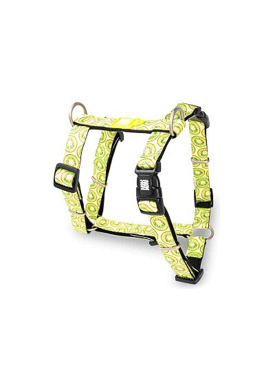 Max & Molly Επιστήθιο H   Harness Kiwi/L