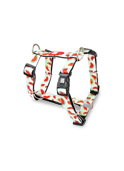 Max & Molly Επιστήθιο H   Harness Watermelon/L