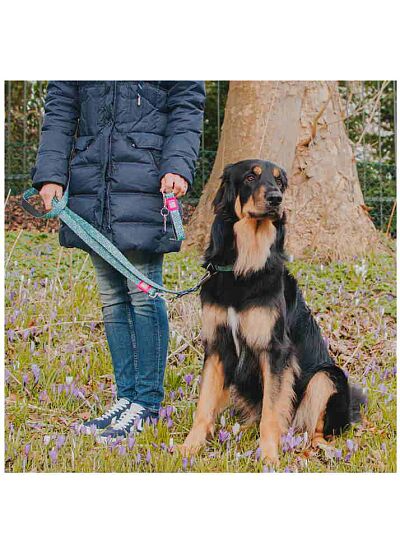 Max & Molly Οδηγός Περιπάτου Short Leash Retro Blue/XS