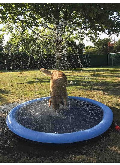 Nobby Splash Pool Πισίνα & Σιντριβάνι Δροσιάς (100 cm)