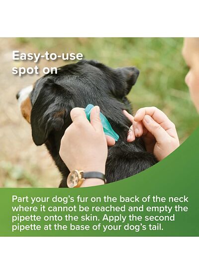 Beaphar Βιοκτόνα Αμπούλα Eco Spot On για Μεσαία & Μεγαλόσωμα Σκυλιά 15 30kg (6 τμχ)