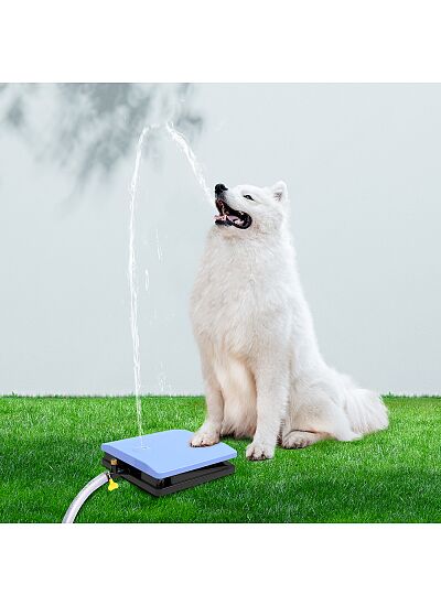 Pawgether Συντριβάνι για Σκύλους με Πίεση Ποδιού