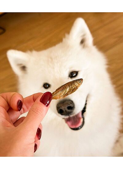 Cooka's Cookies Gone Fishing Αφυδατωμένα Ψαράκια 90γρ