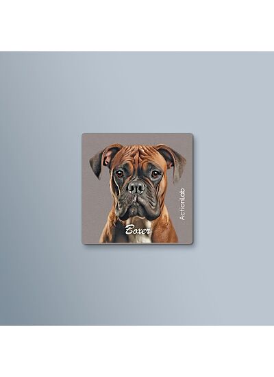 ActionLab Μαγνητάκι Boxer