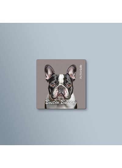 ActionLab Μαγνητάκι Boston Bulldog