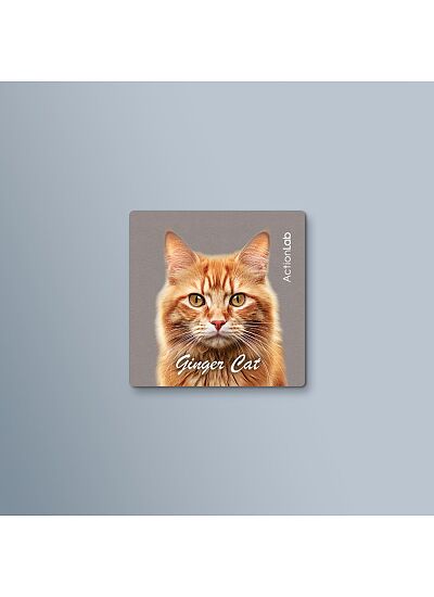 ActionLab Μαγνητάκι Ginger Cat