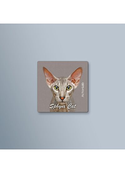 ActionLab Μαγνητάκι Sphynx Cat