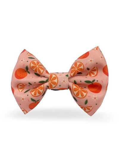 Madpet Παπιγιόν Mandarin