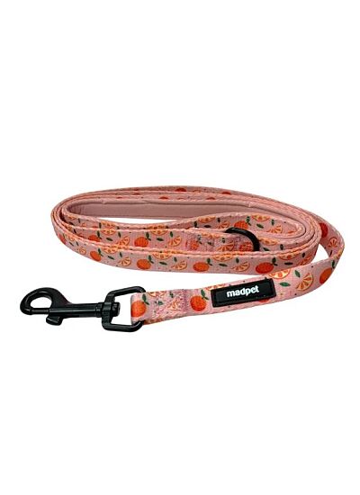 Οδηγός Mandarin L