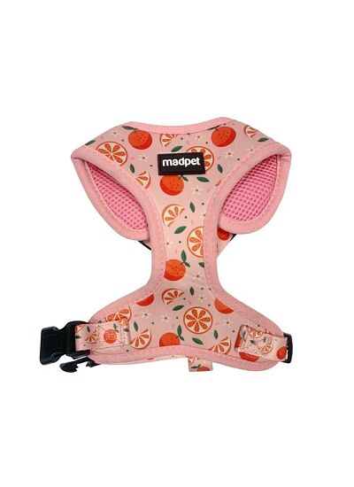 Επιστήθιο Mandarin L