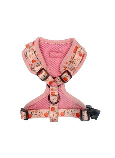 Επιστήθιο Mandarin L