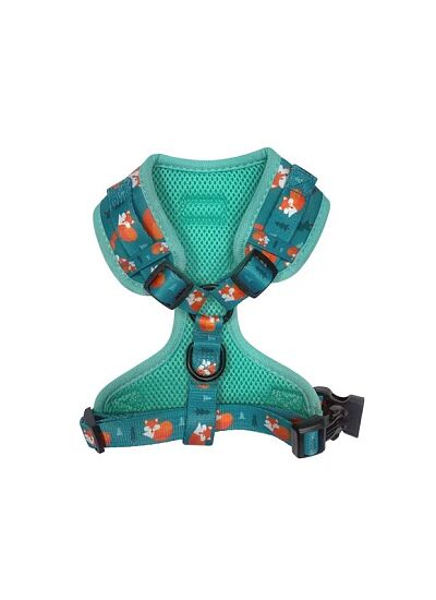 Επιστήθιο Fox L