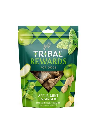 Tribal Rewards Apple & Mint & Ginger 125g
