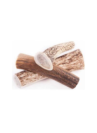 Wildz Natural Antler Chew   Hard, Φυσικό Κέρατο Ελαφιού για Σκύλους (12cm 60gr)/Medium