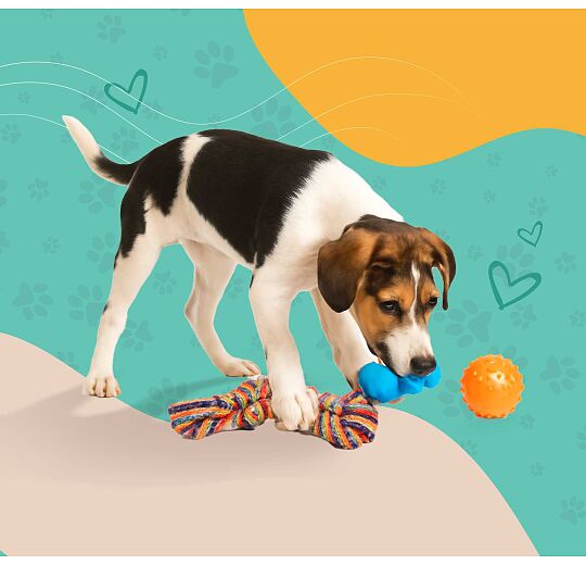 Image - Αξεσουάρ