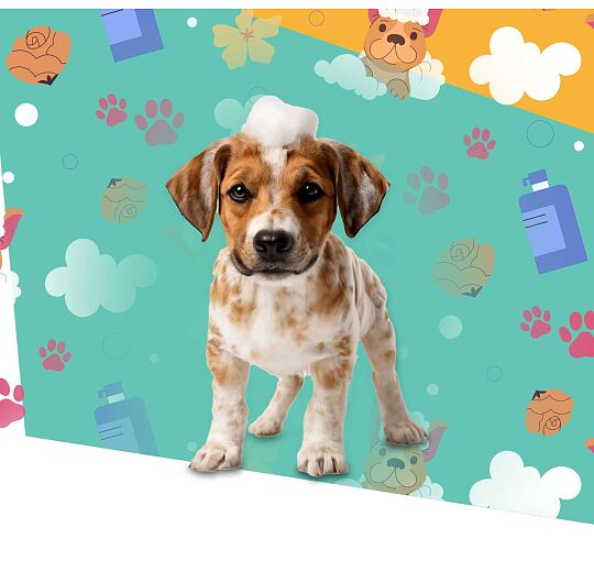 Image - Σαμπουάν