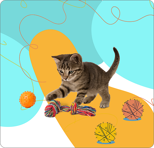 Image - Παιχνίδια