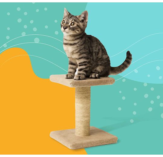 Image - Αξεσουάρ