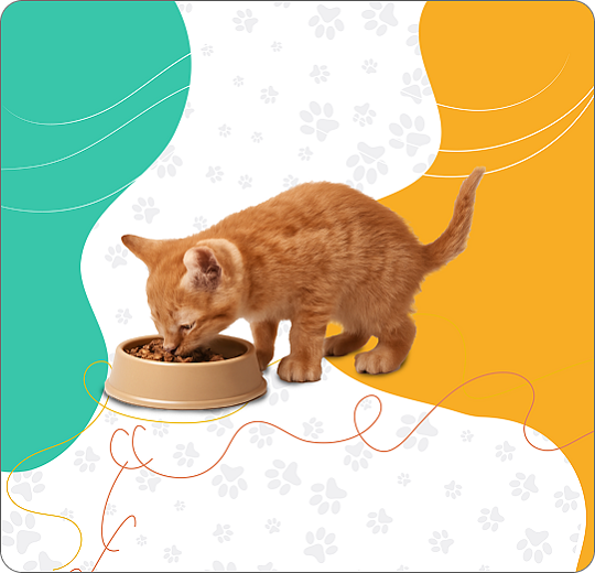 Image - Ξηρά τροφή